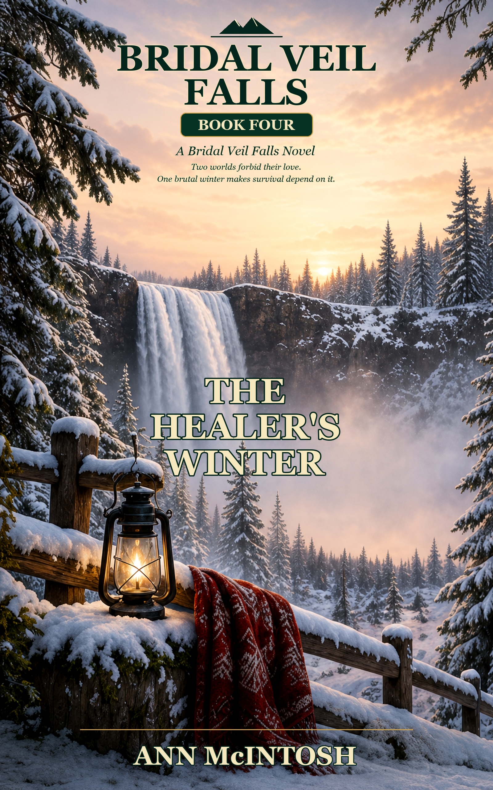 The Healer's Winter — Book 4 of the Bridal Veil Falls series by Ann McIntosh